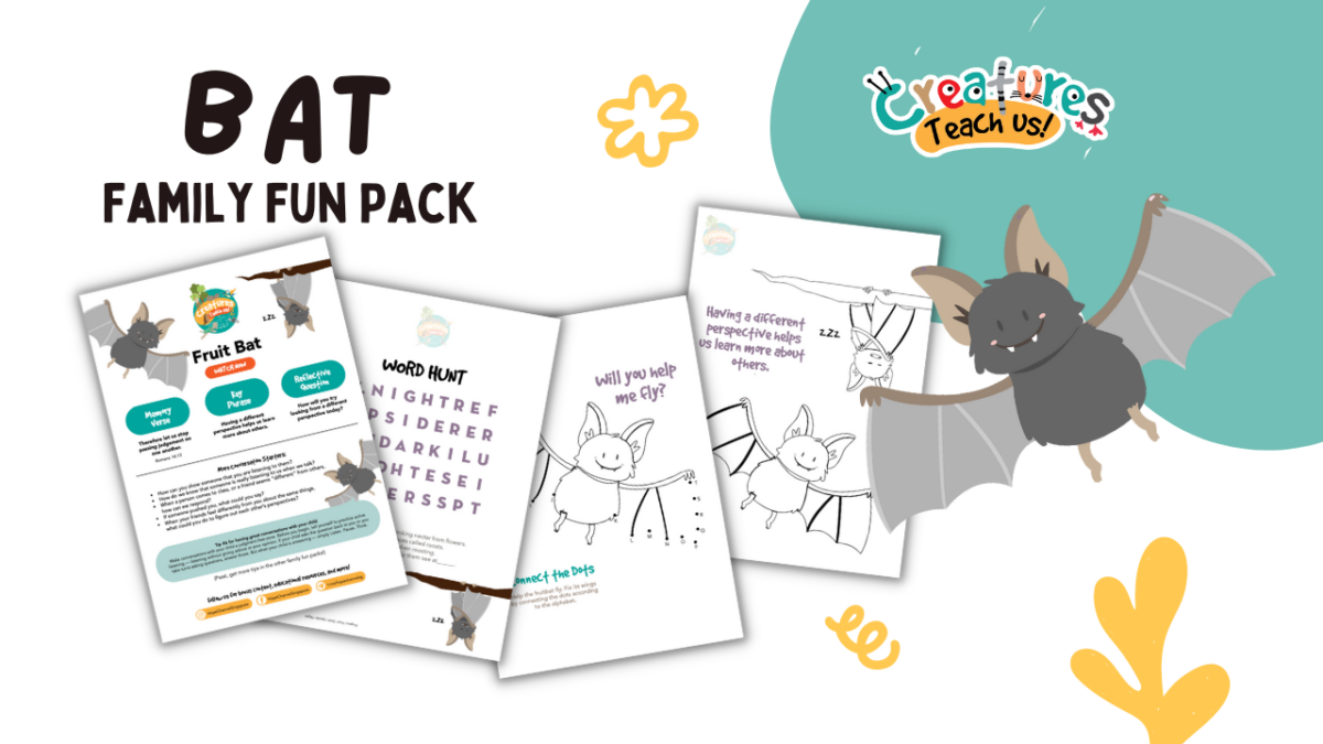 Bat Family Fun Pack