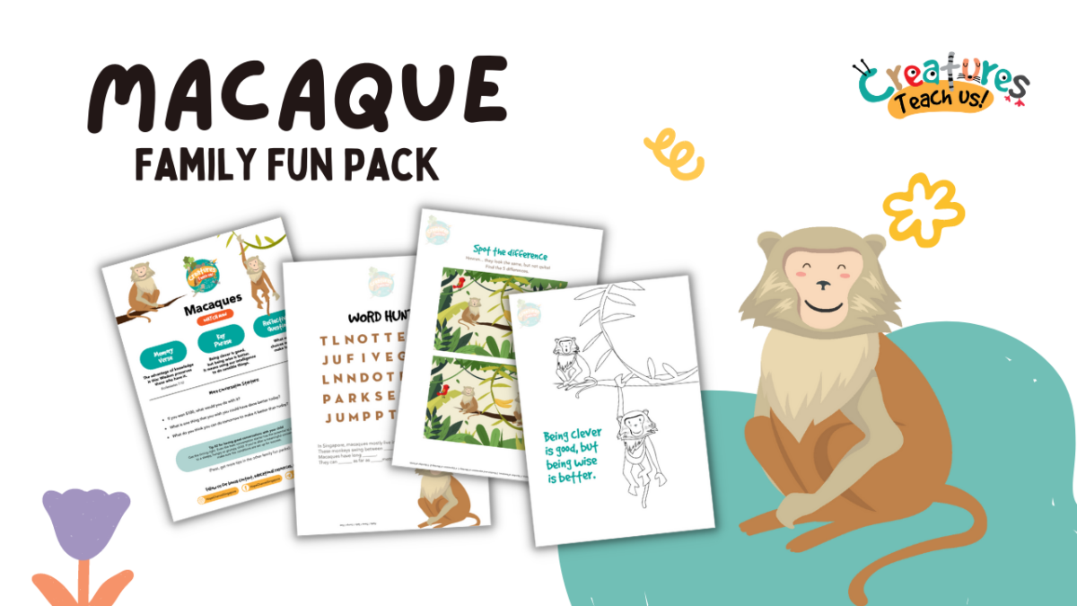 Macaque Family Fun Pack