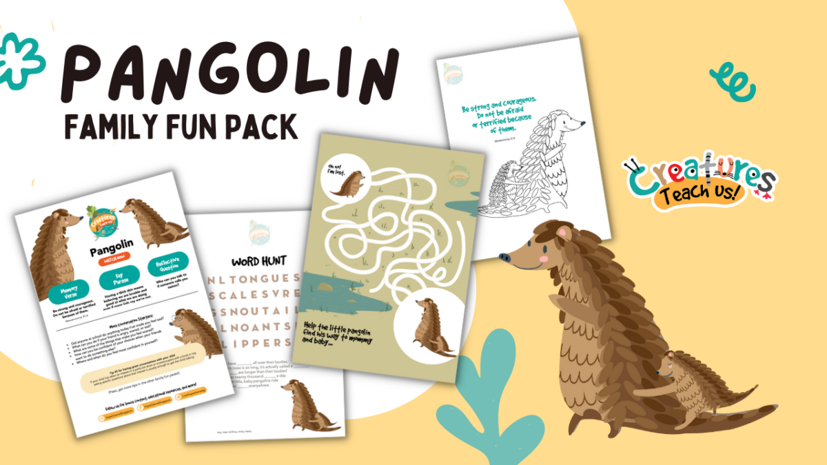 Pangolin Family Fun Pack